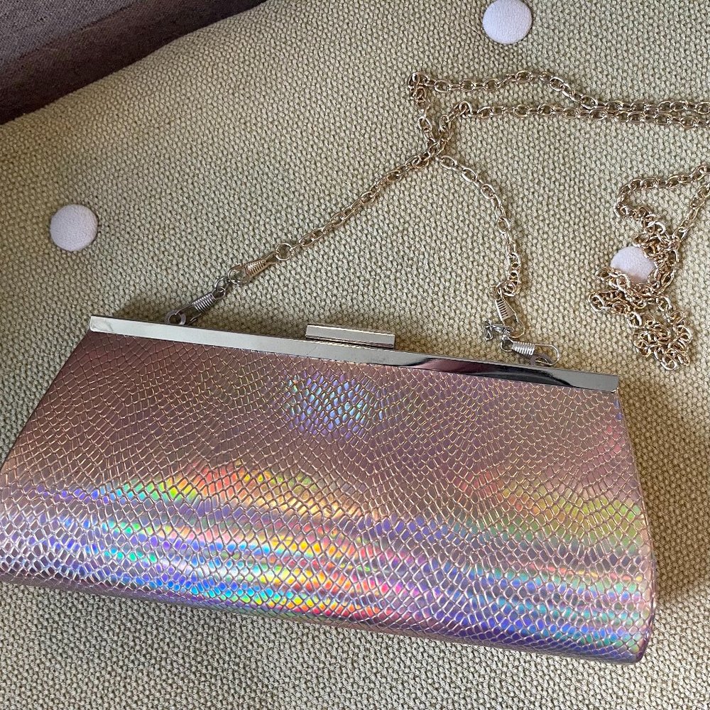 Iridescent Clutch